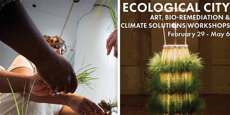 ECOLOGICAL CITY - Art, Bio-Remediation & Climate Solutions Workshops